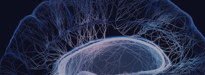 Human brain illustrated with interconnected small nerves - 3d render