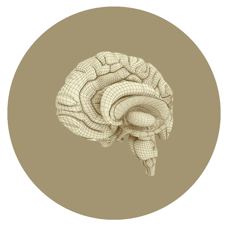 Consentiments informatsdels tractaments cranials