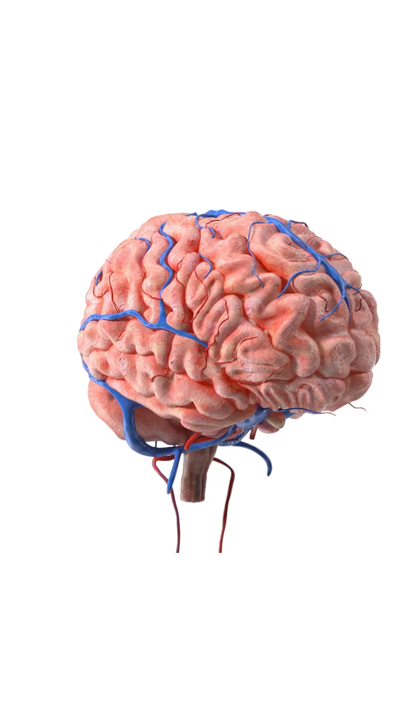 Societat Catalana de Neurocirurgia