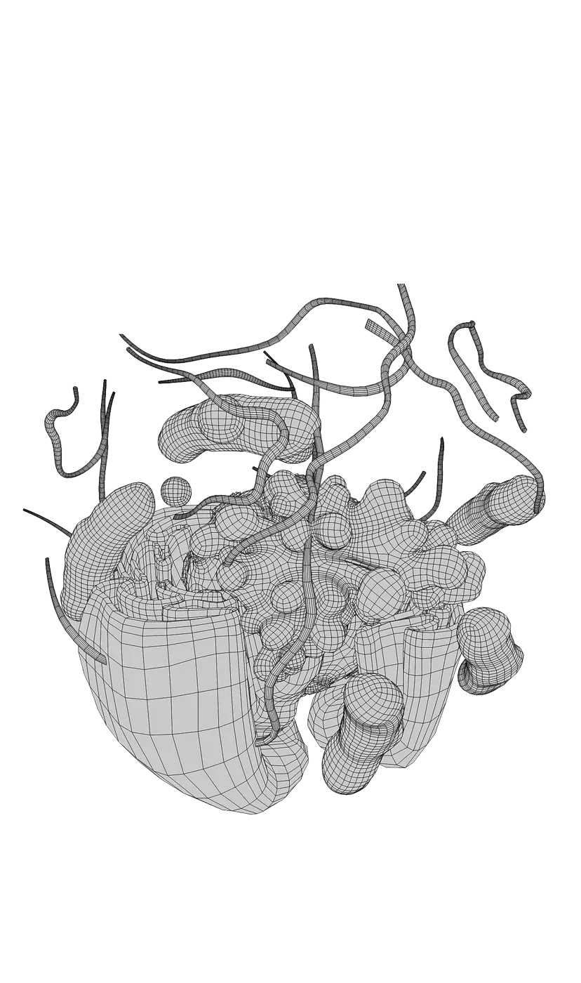 Societat Catalana de Neurocirurgia